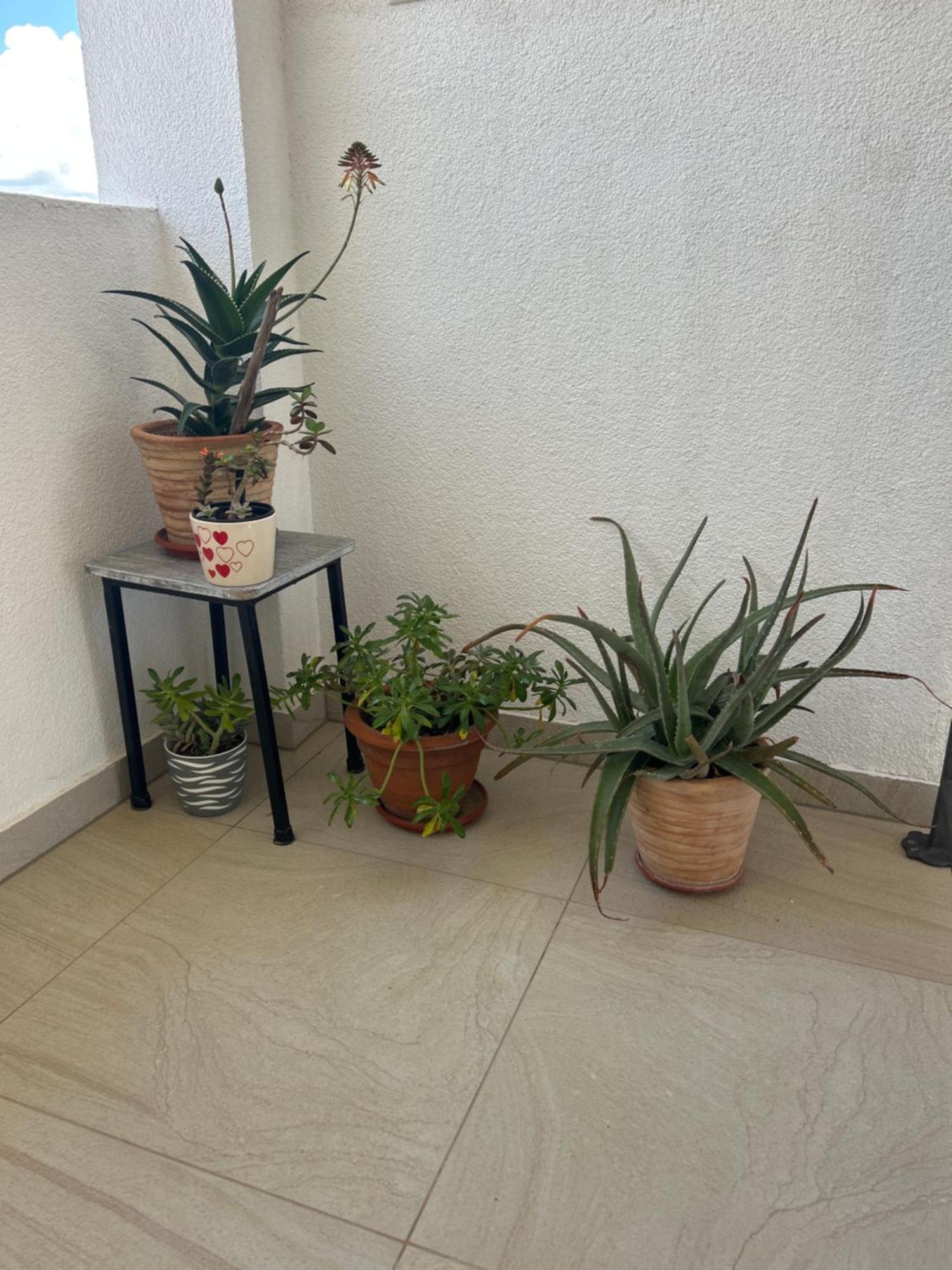 Apartments Purkovic Vodice Exterior foto